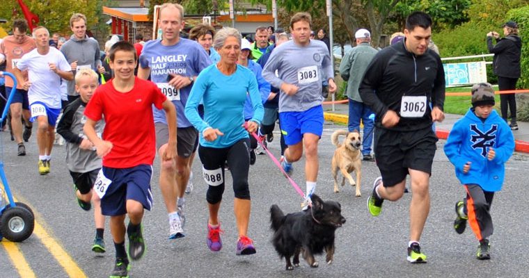 PAWZ 5K Walk/Run (Sponsorship)
